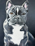 Kozie the French Bulldog Print