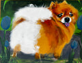 Pomeranian and Tulips Original Painting