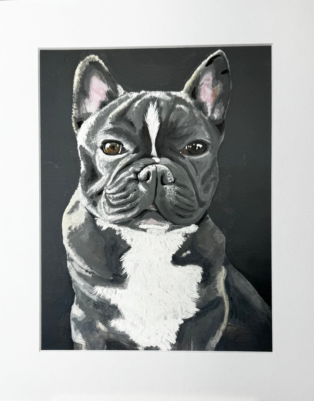 Kozi the French Bulldog Framed Print