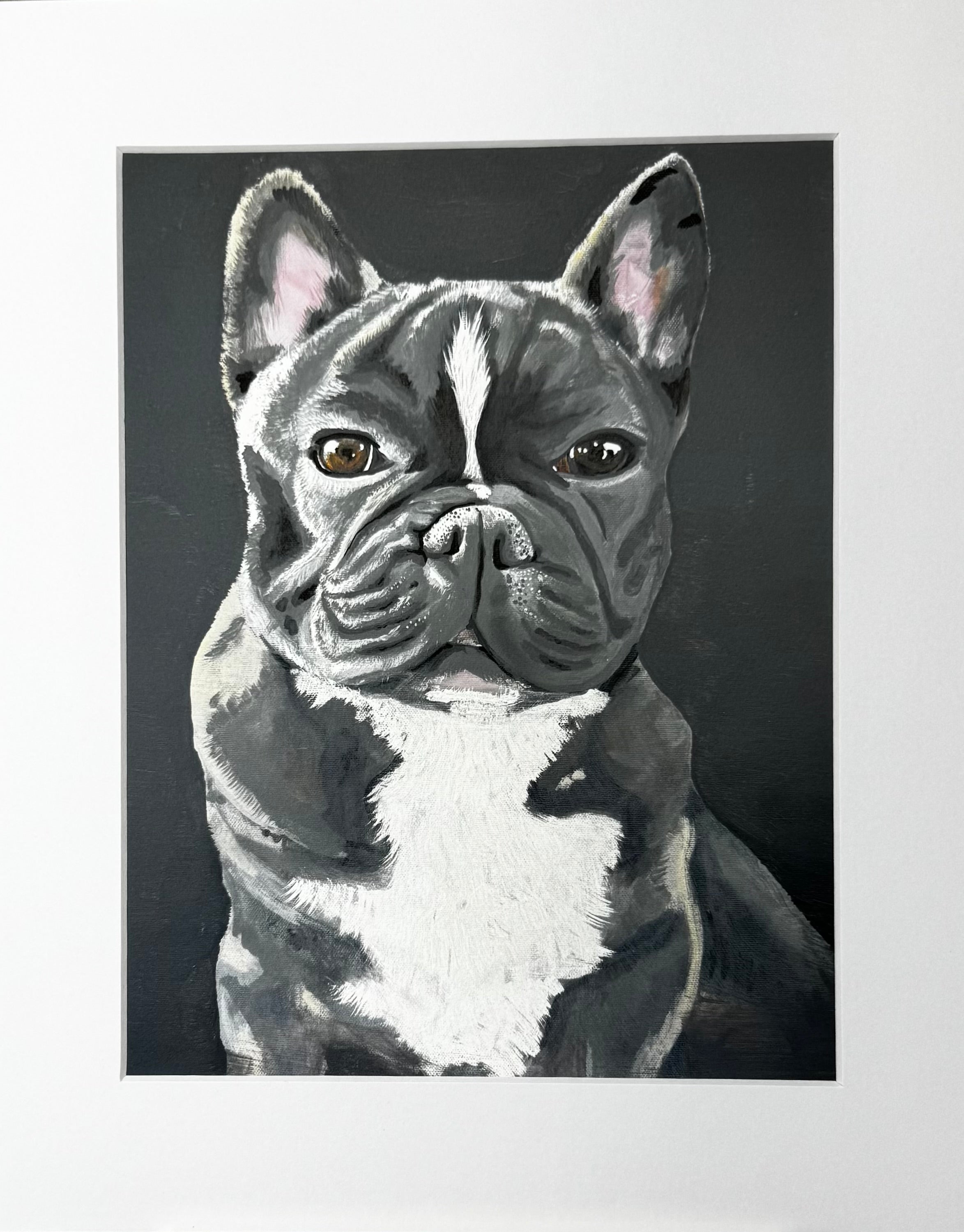 Kozi the French Bulldog Framed Print