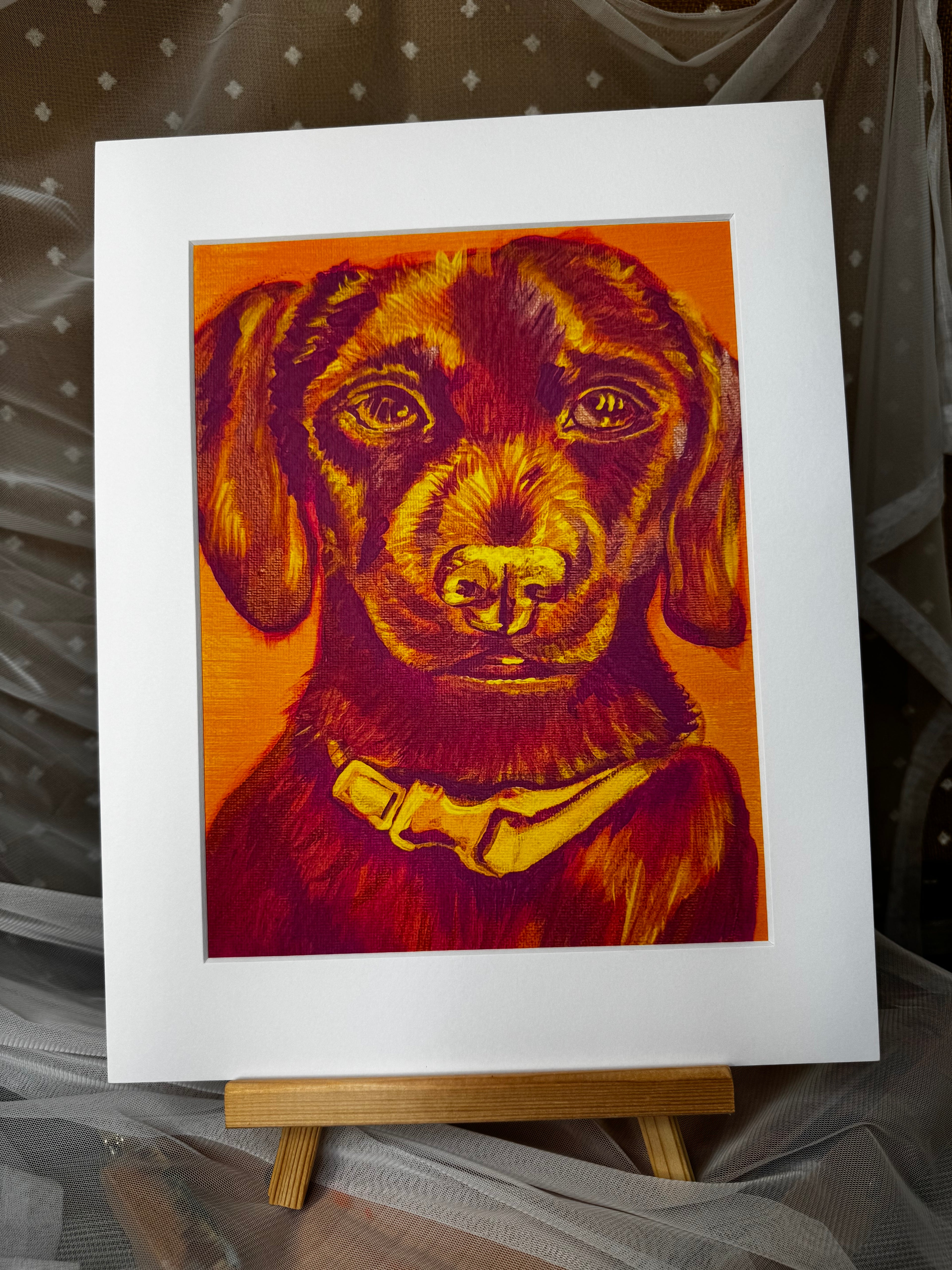Color Pop Chiweenie Framed Print