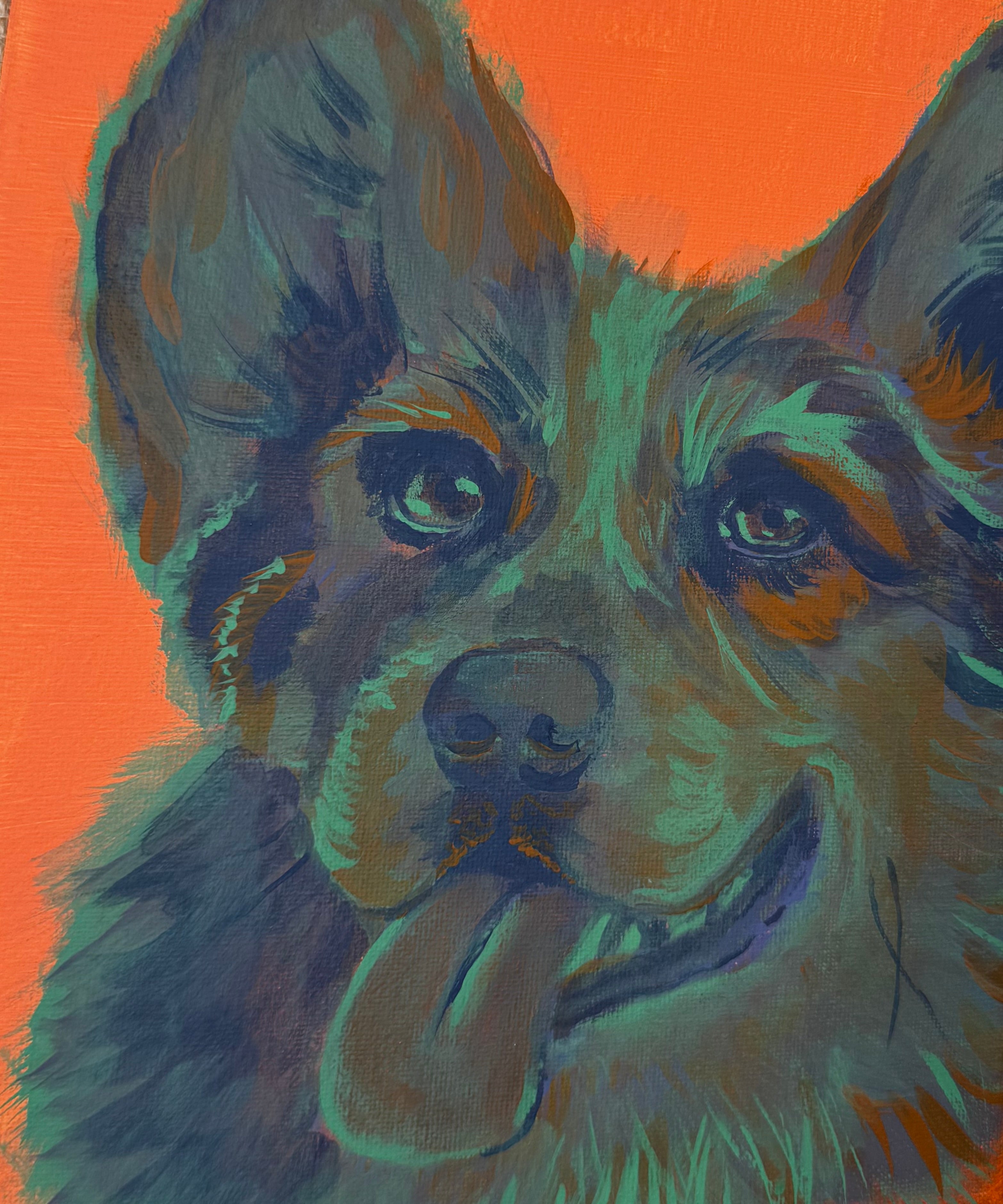 Color Pop Collie Original