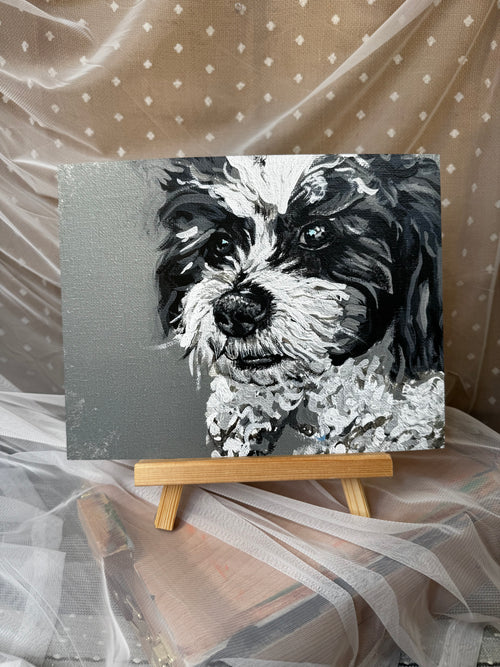 Bear the Zuchon Print