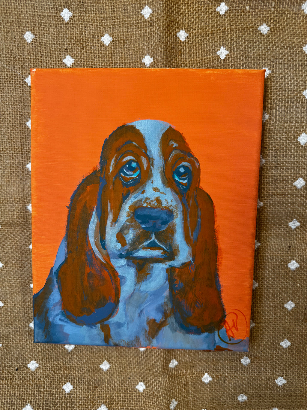 Color Pop Hound Dog Original