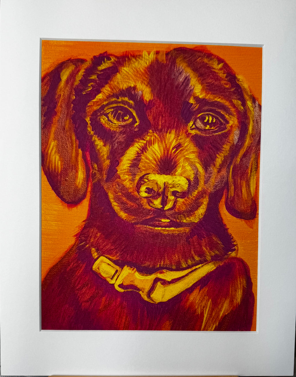 Color Pop Chiweenie Framed Print
