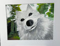 American Eskimo Selfie Framed Print