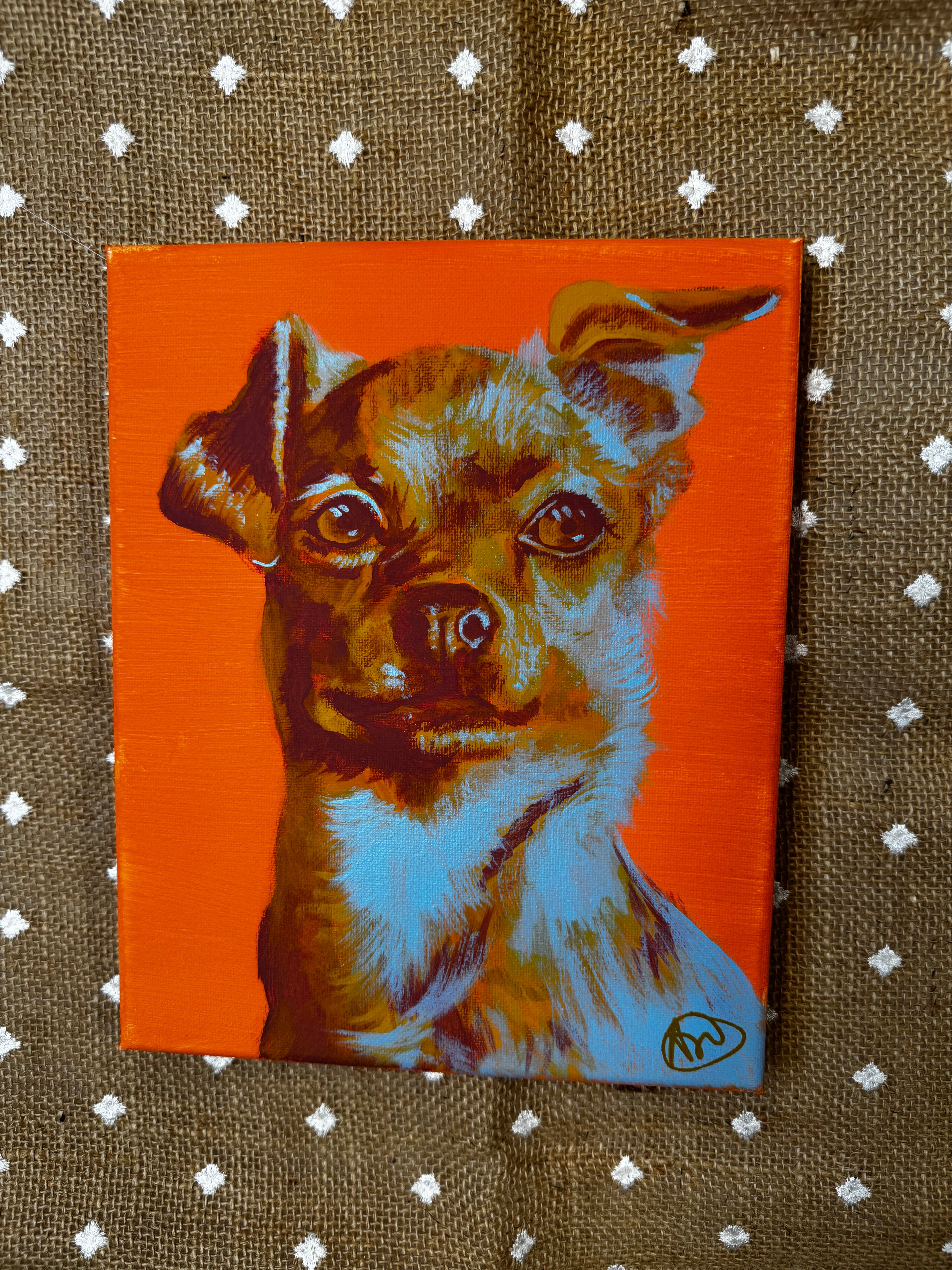 Color Pop Chihuahua Original