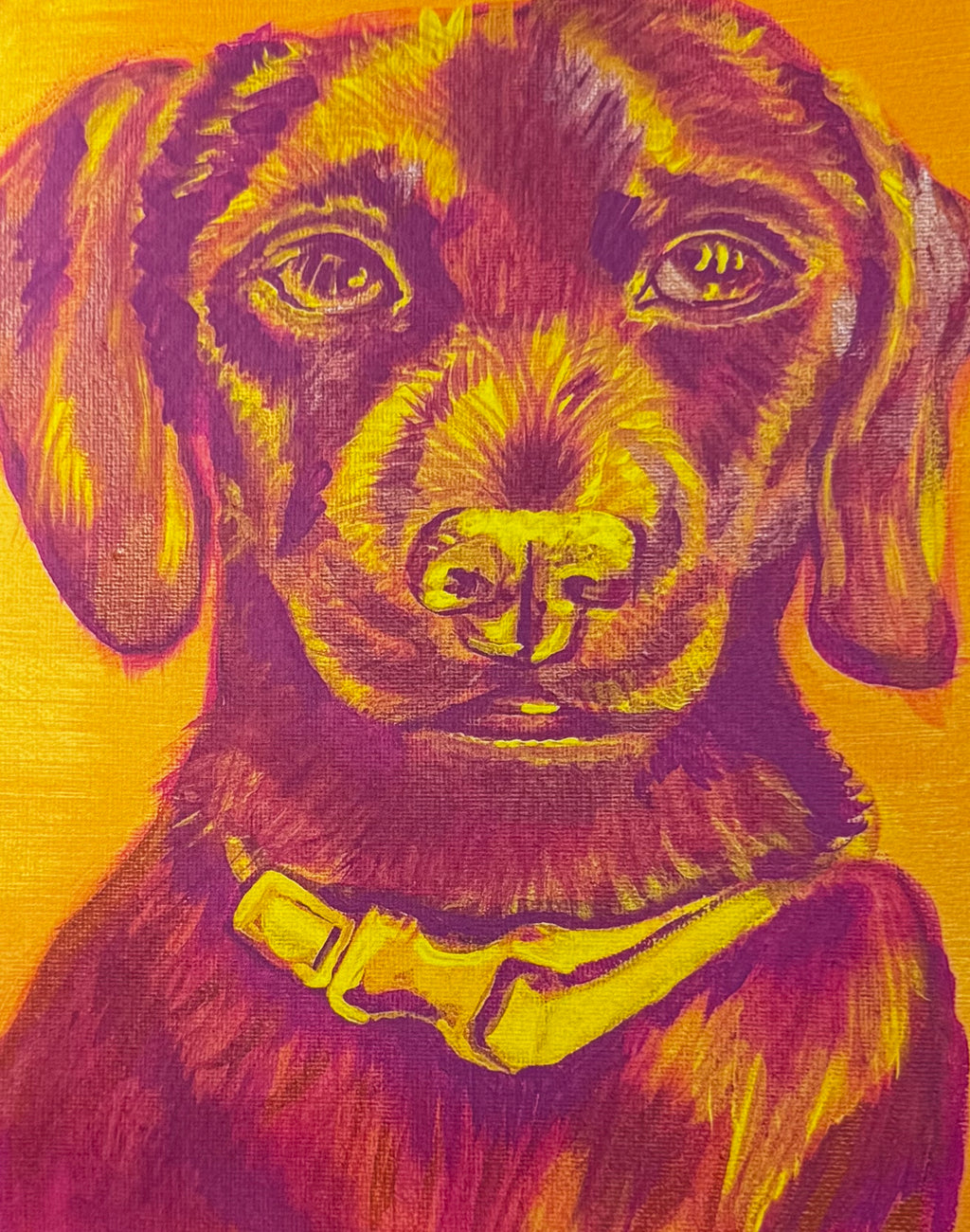 Color pop Chiweenie Puppy Print