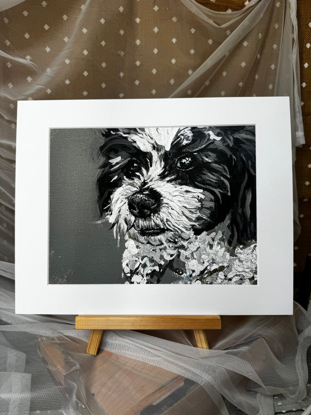 Bear the Zuchon Framed Print
