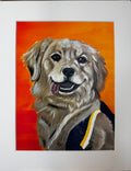 Moxie the Golden Retriever Framed Print