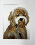 Hank the Doodle Framed Print