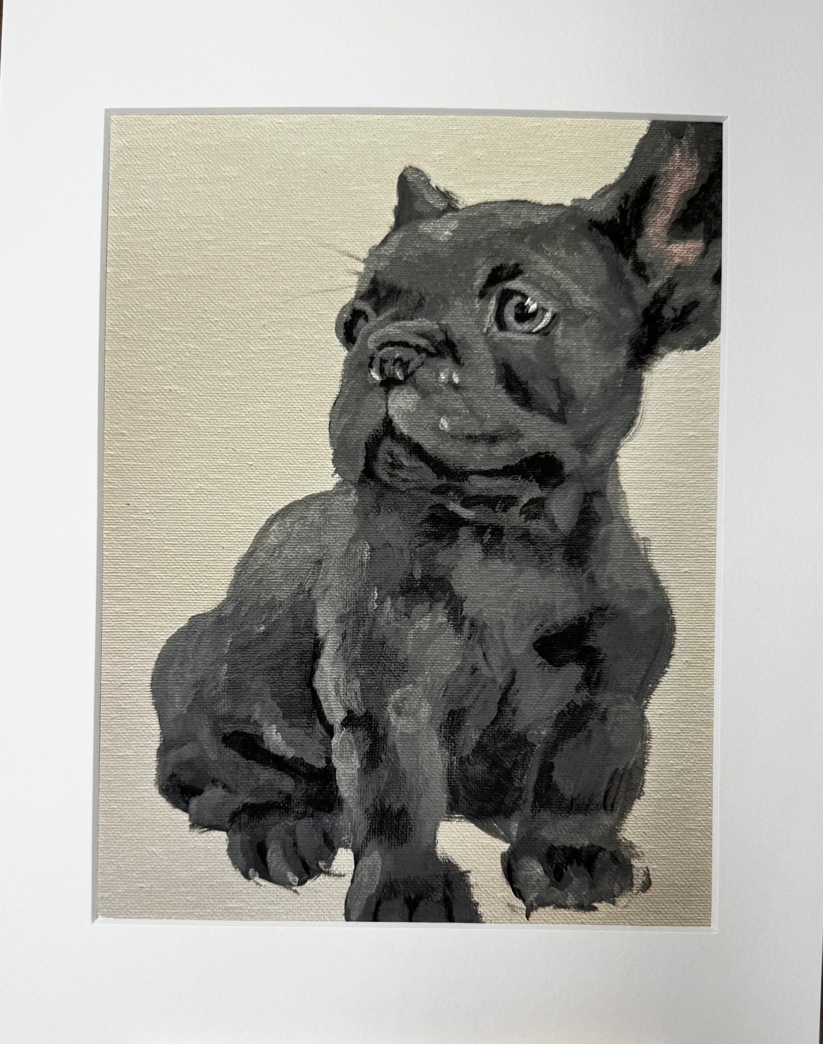 Bleu French Bulldog Framed Print