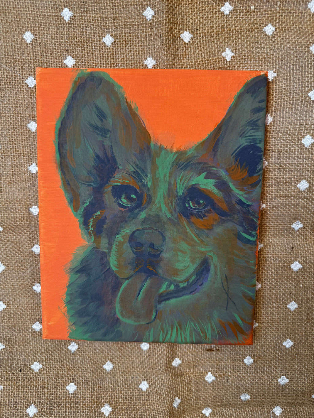 Color Pop Collie Original