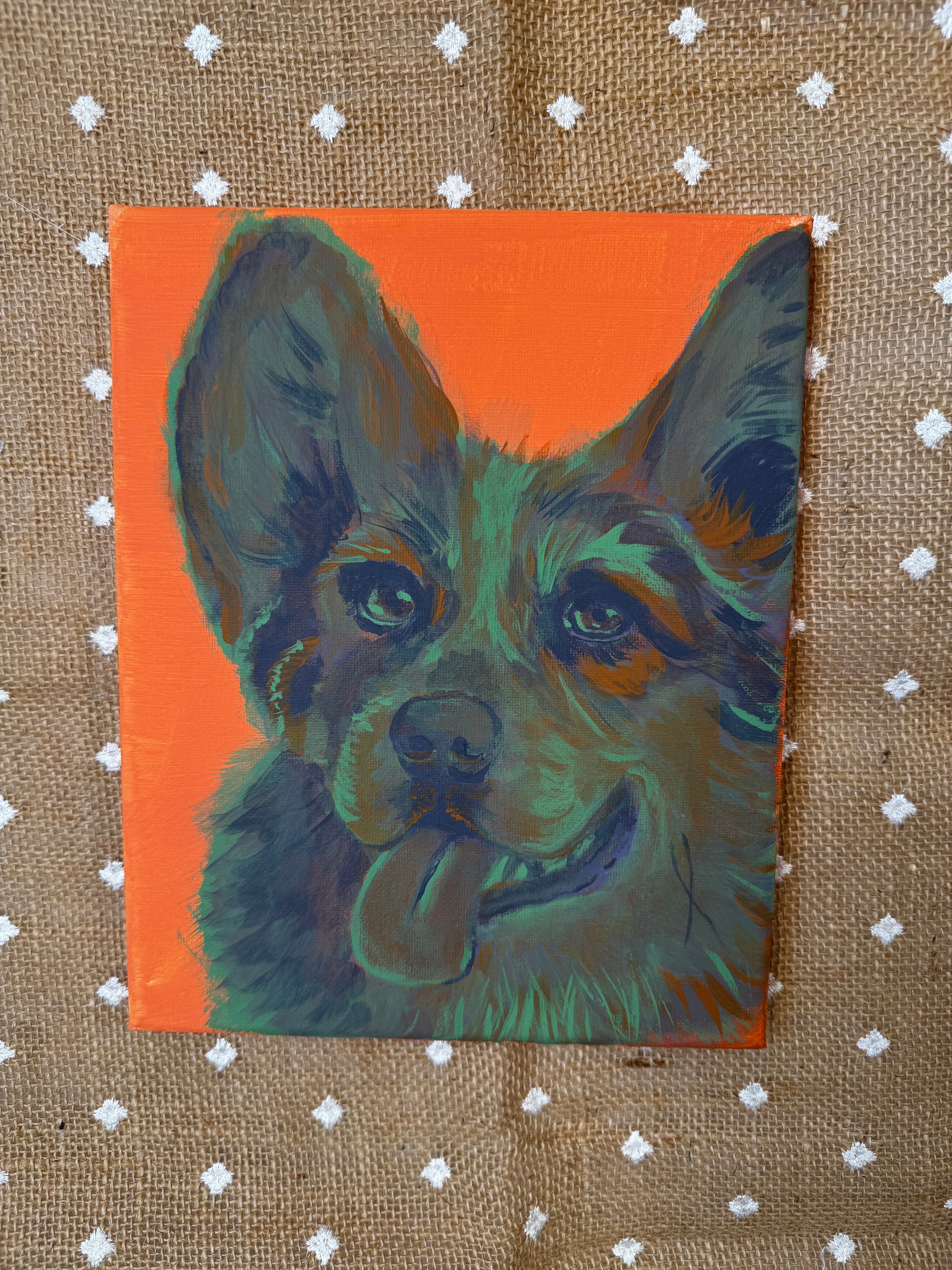 Color Pop Collie Original