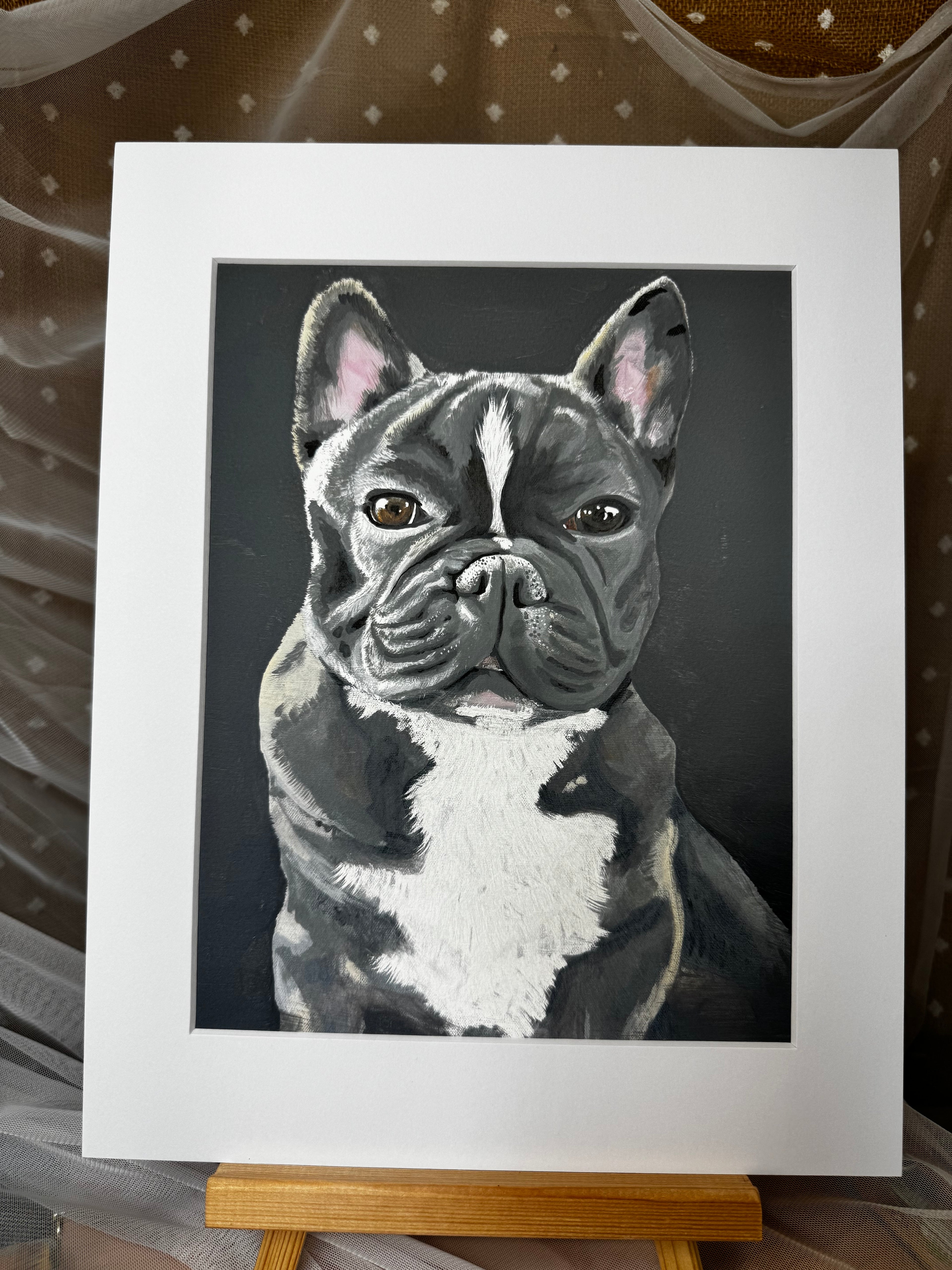 Kozi the French Bulldog Framed Print