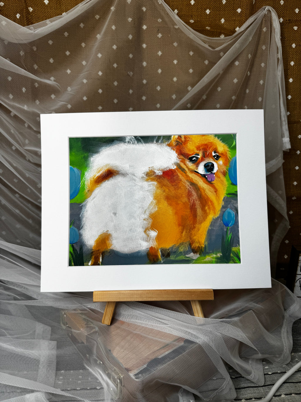 Pomeranian and Tulips Framed Print