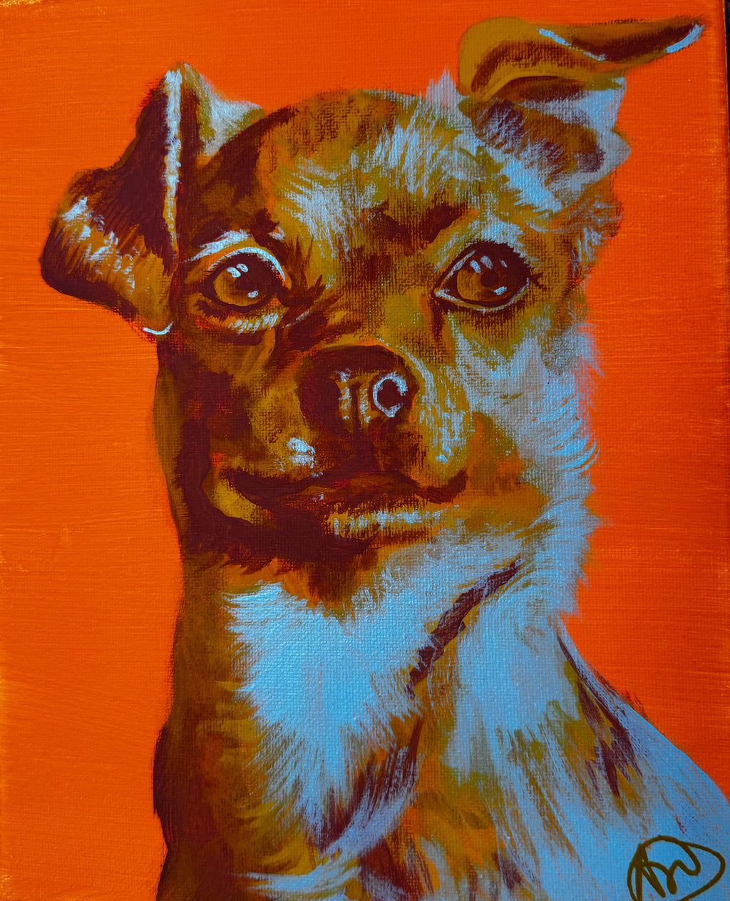 Color Pop Chihuahua Original