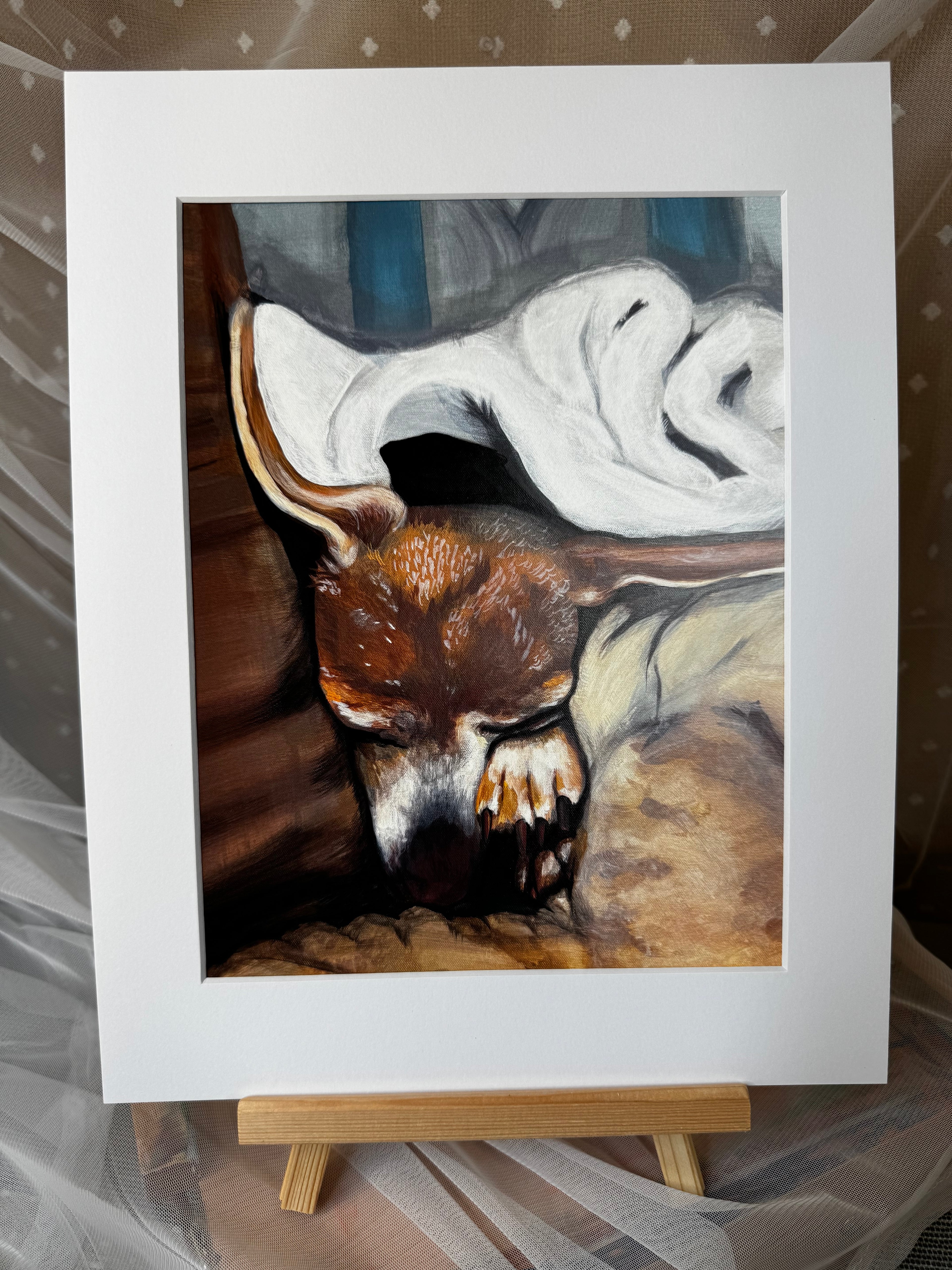 Sleepy Chihuahua Framed Print