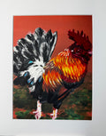 Vibrant Rooster Framed Print