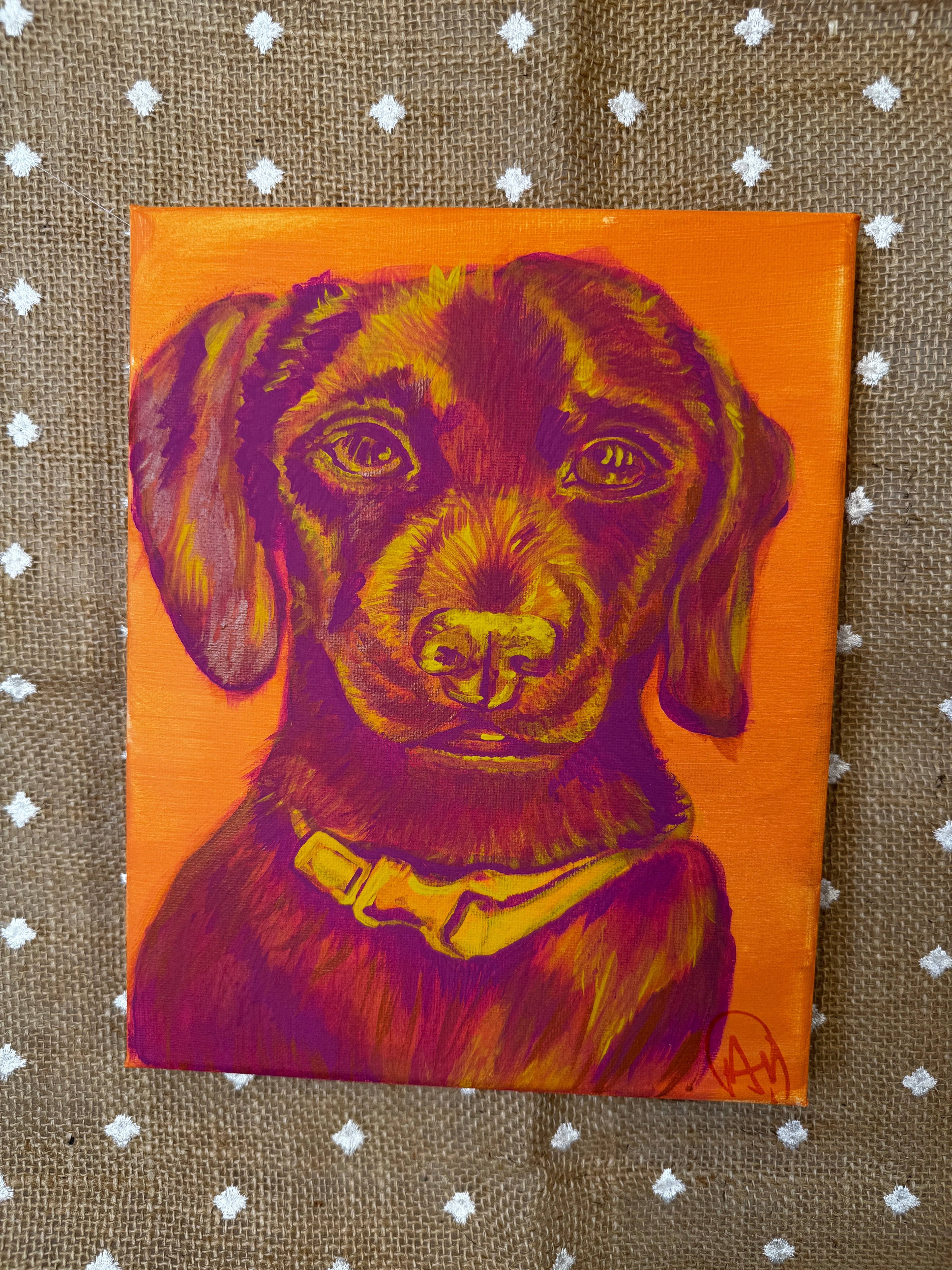 Color Pop Chiweenie Original