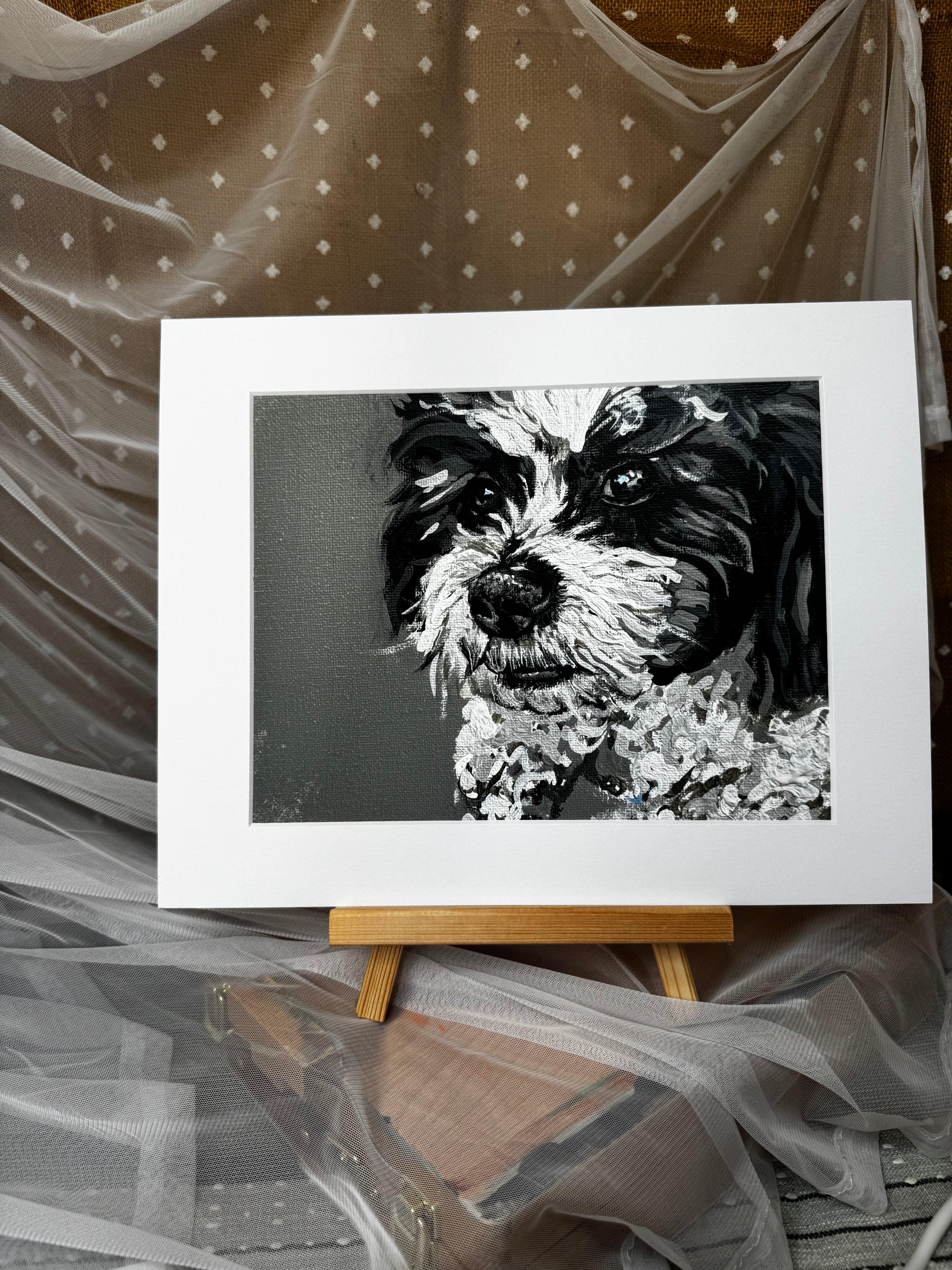 Bear the Zuchon Framed Print