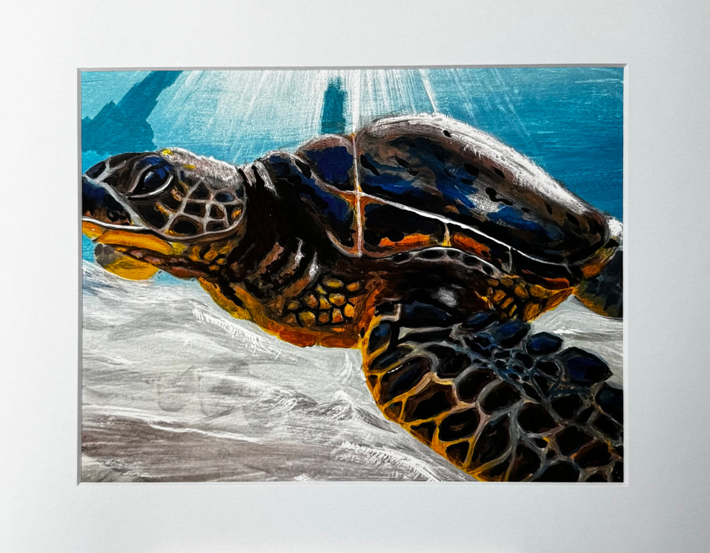 Underwater Sea Turtle Framed Print