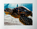 Underwater Sea Turtle Framed Print