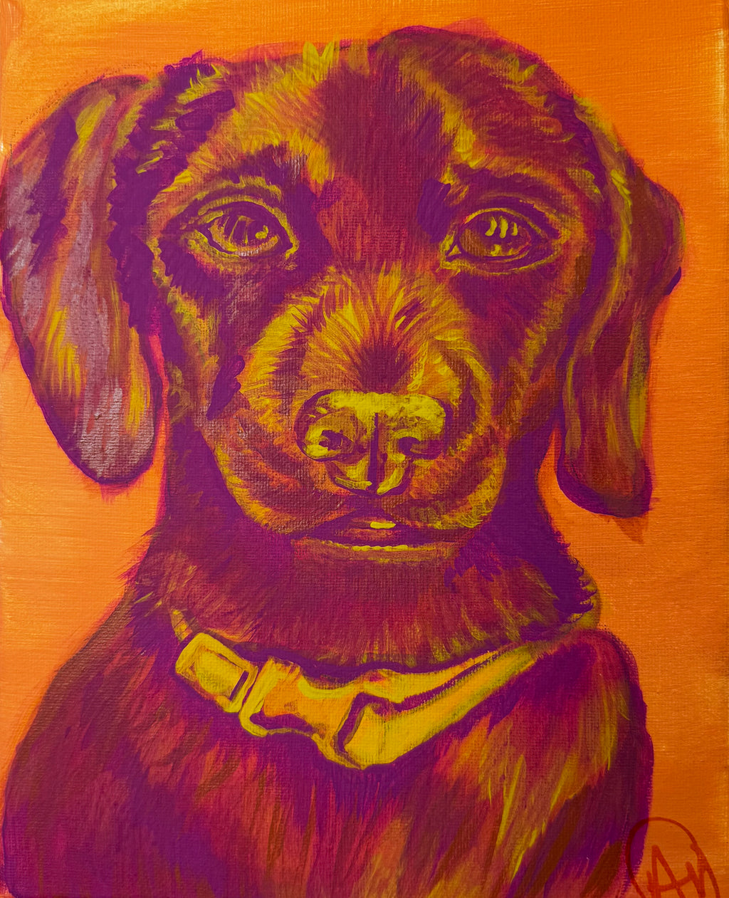 Color Pop Chiweenie Original