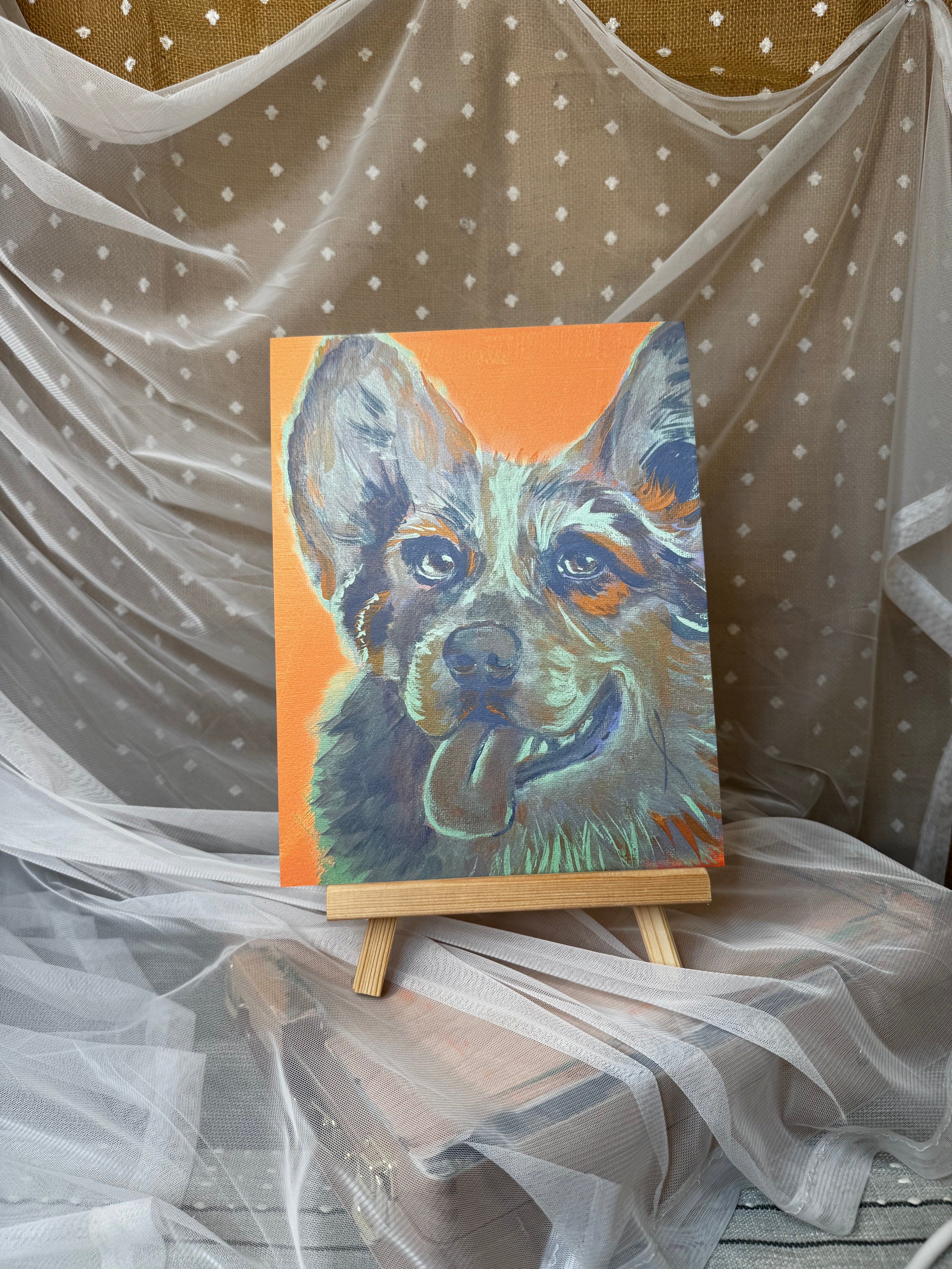 Color Pop Collie Print