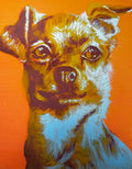 Color Pop Chihuahua Print