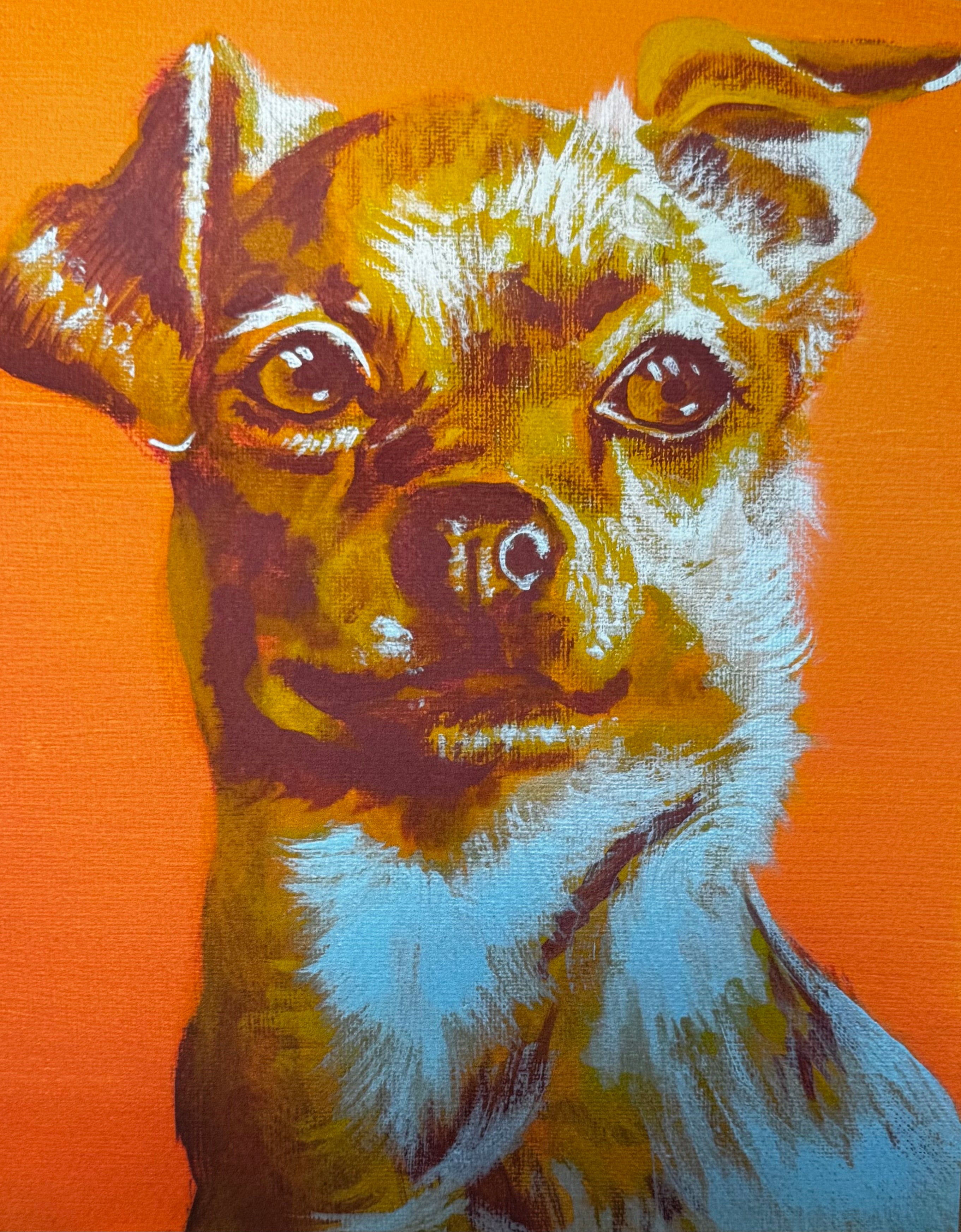 Color Pop Chihuahua Print