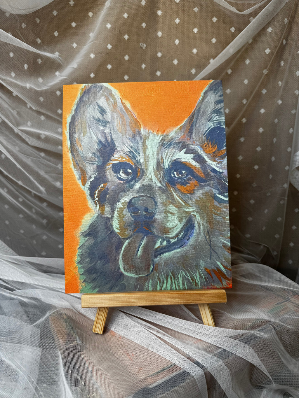 Color Pop Collie Print