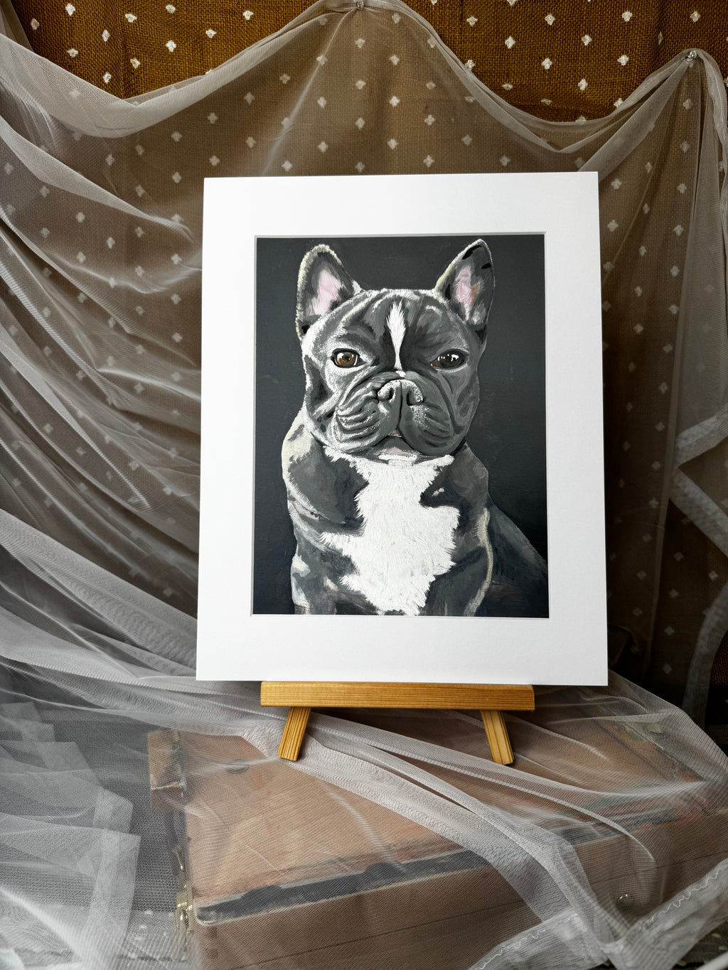 Kozi the French Bulldog Framed Print