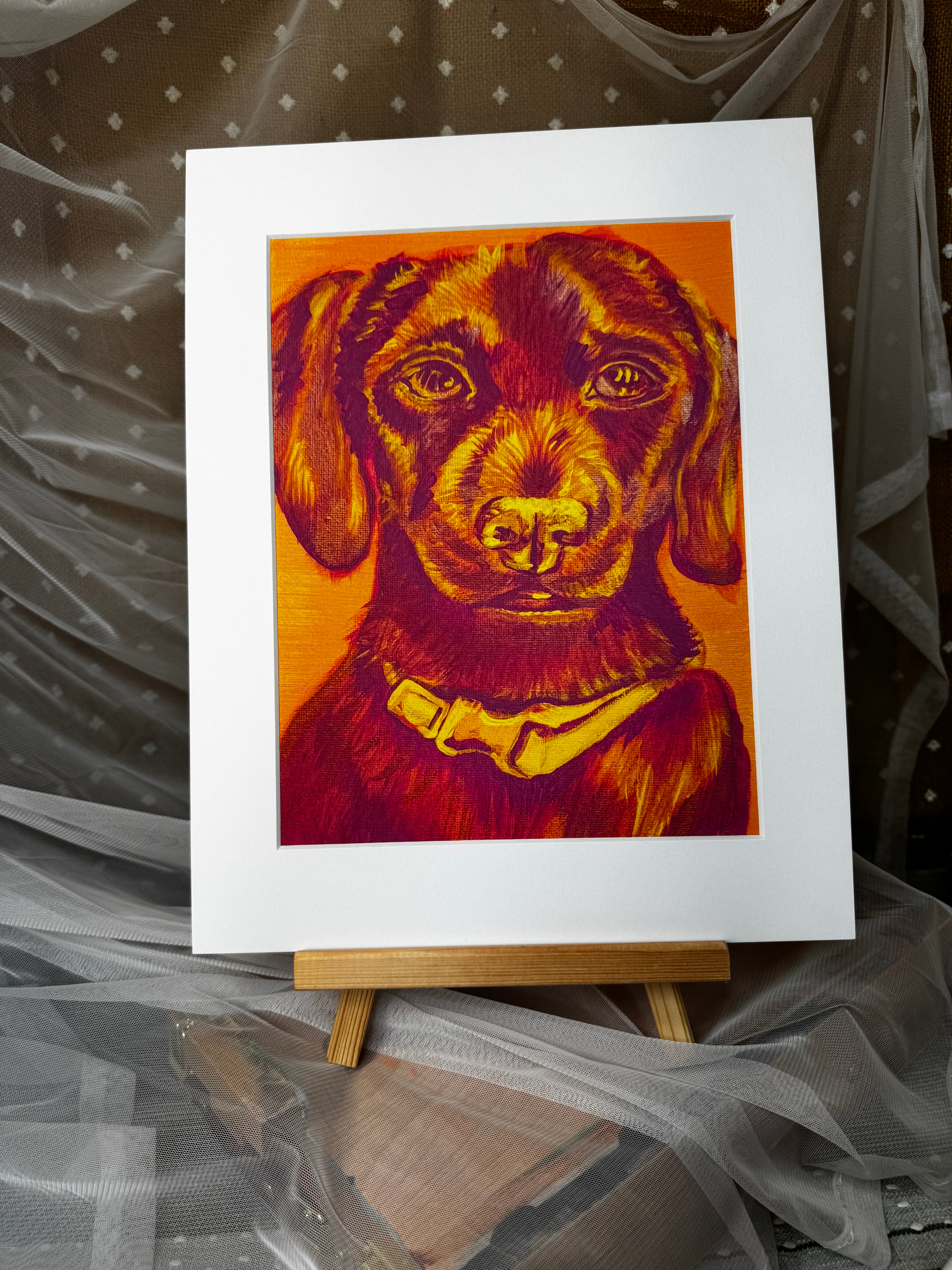 Color Pop Chiweenie Framed Print