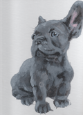 Bleu the French Bulldog Print
