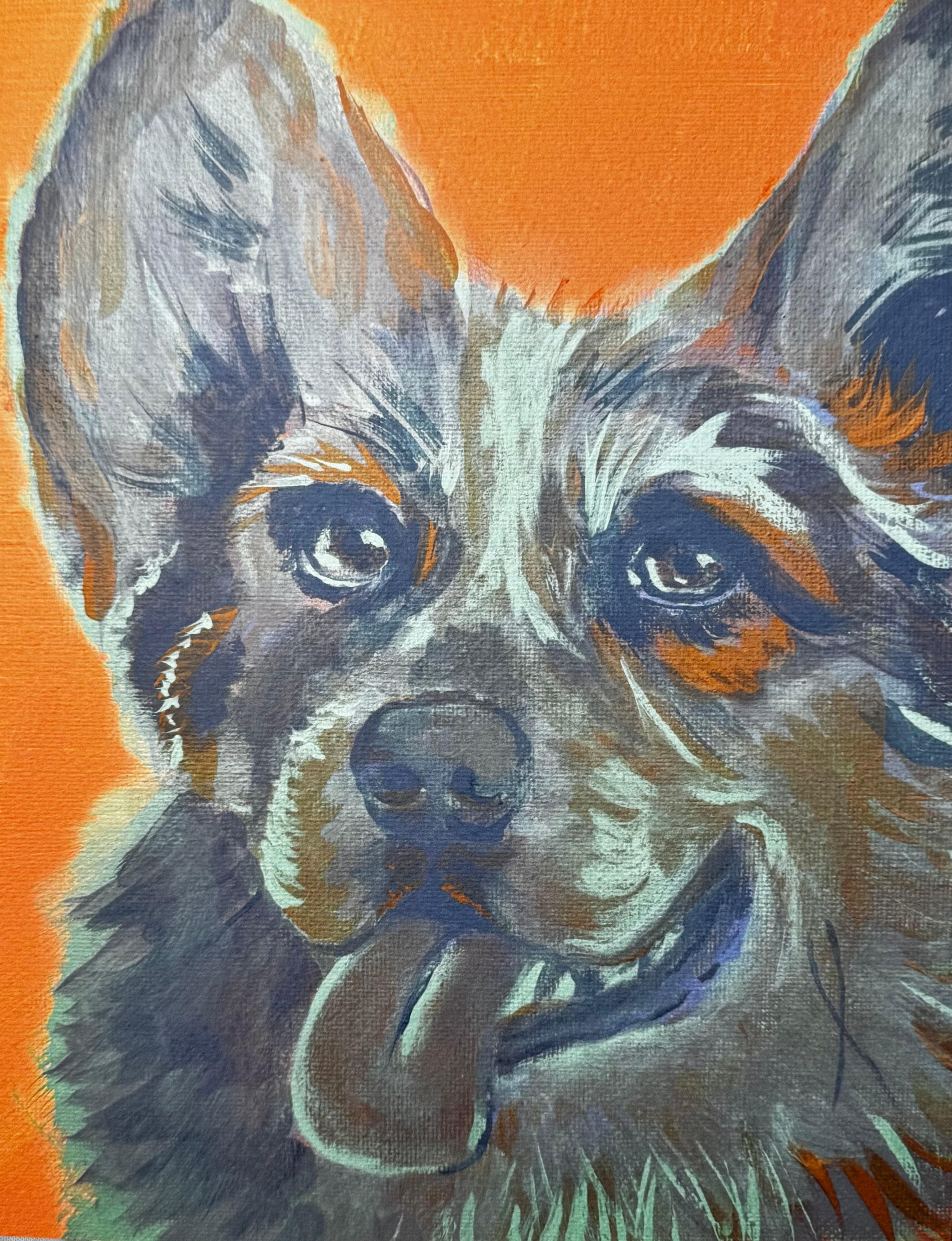 Color Pop Collie Print