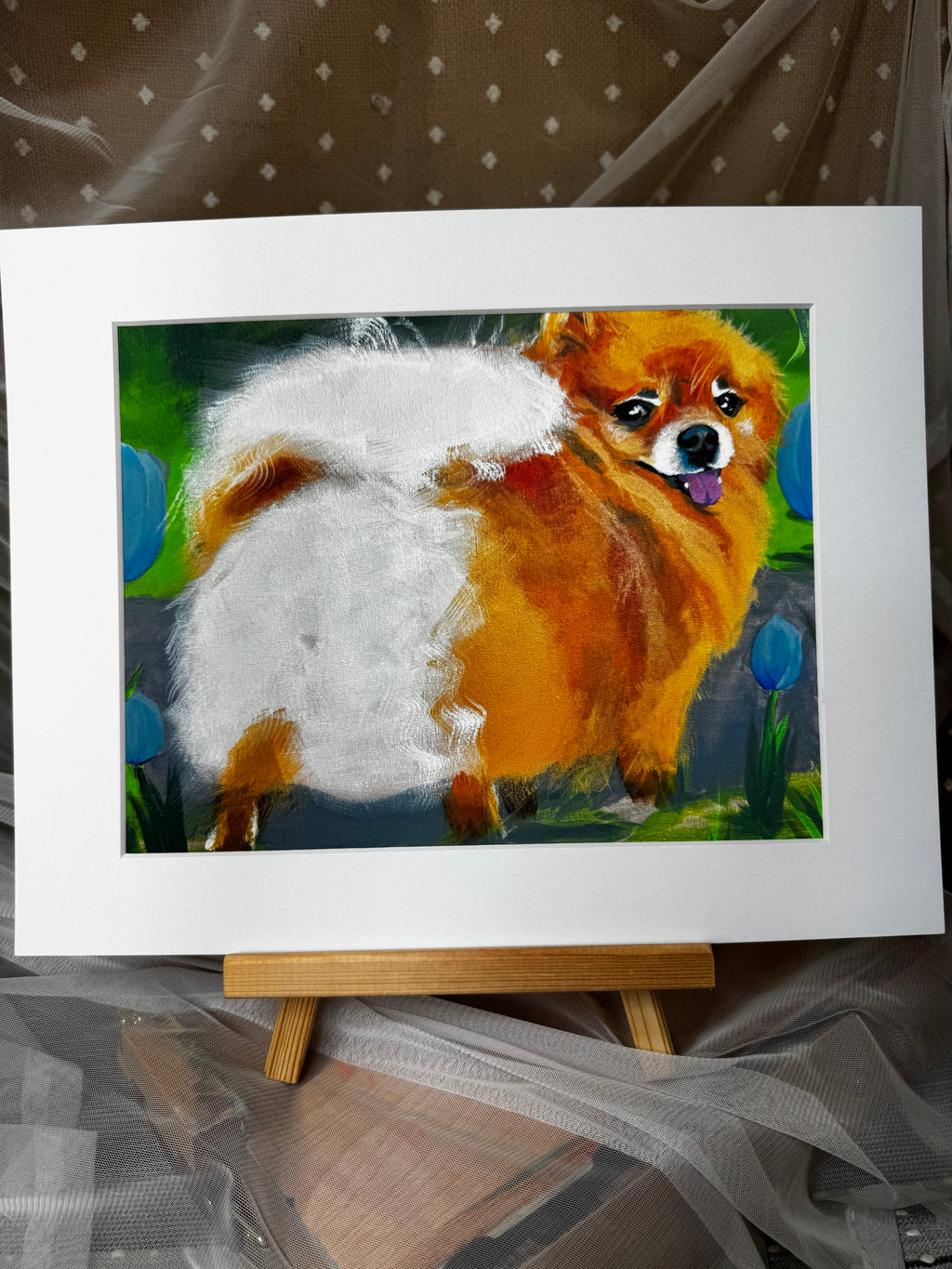 Pomeranian and Tulips Framed Print