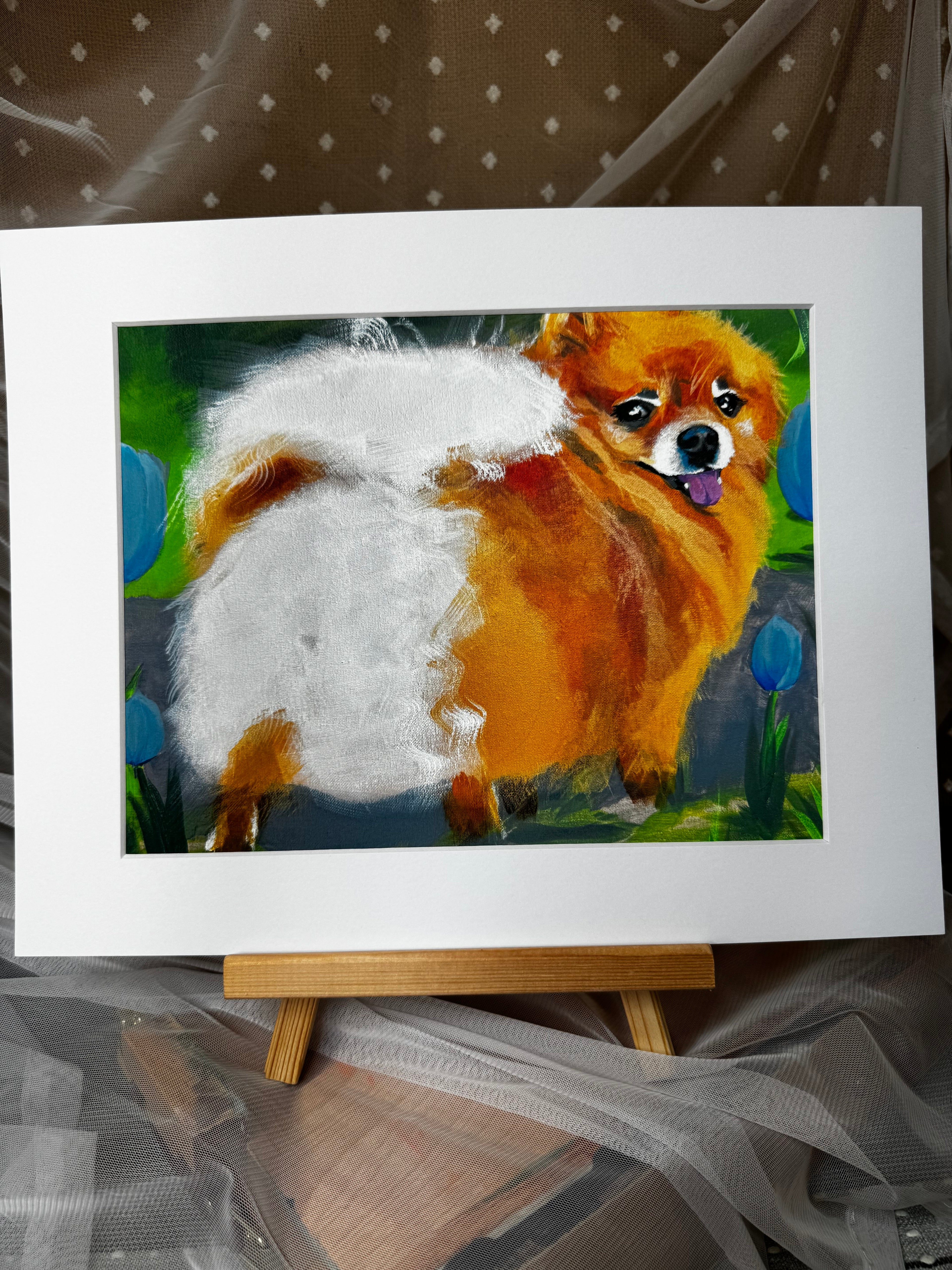 Pomeranian and Tulips Framed Print