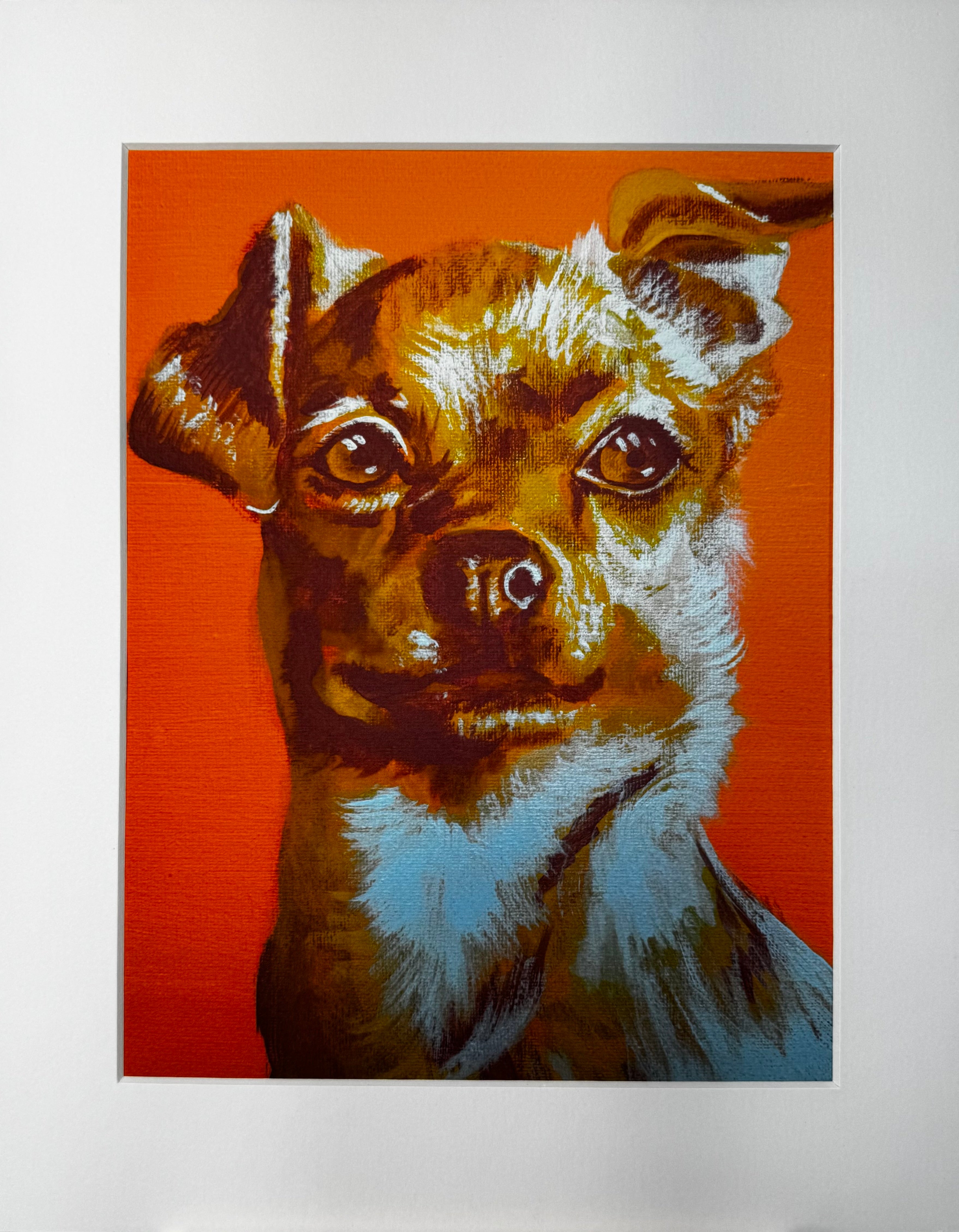 Color Pop Chihuahua Print Framed