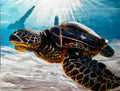 Underwater Sea Turtle Print