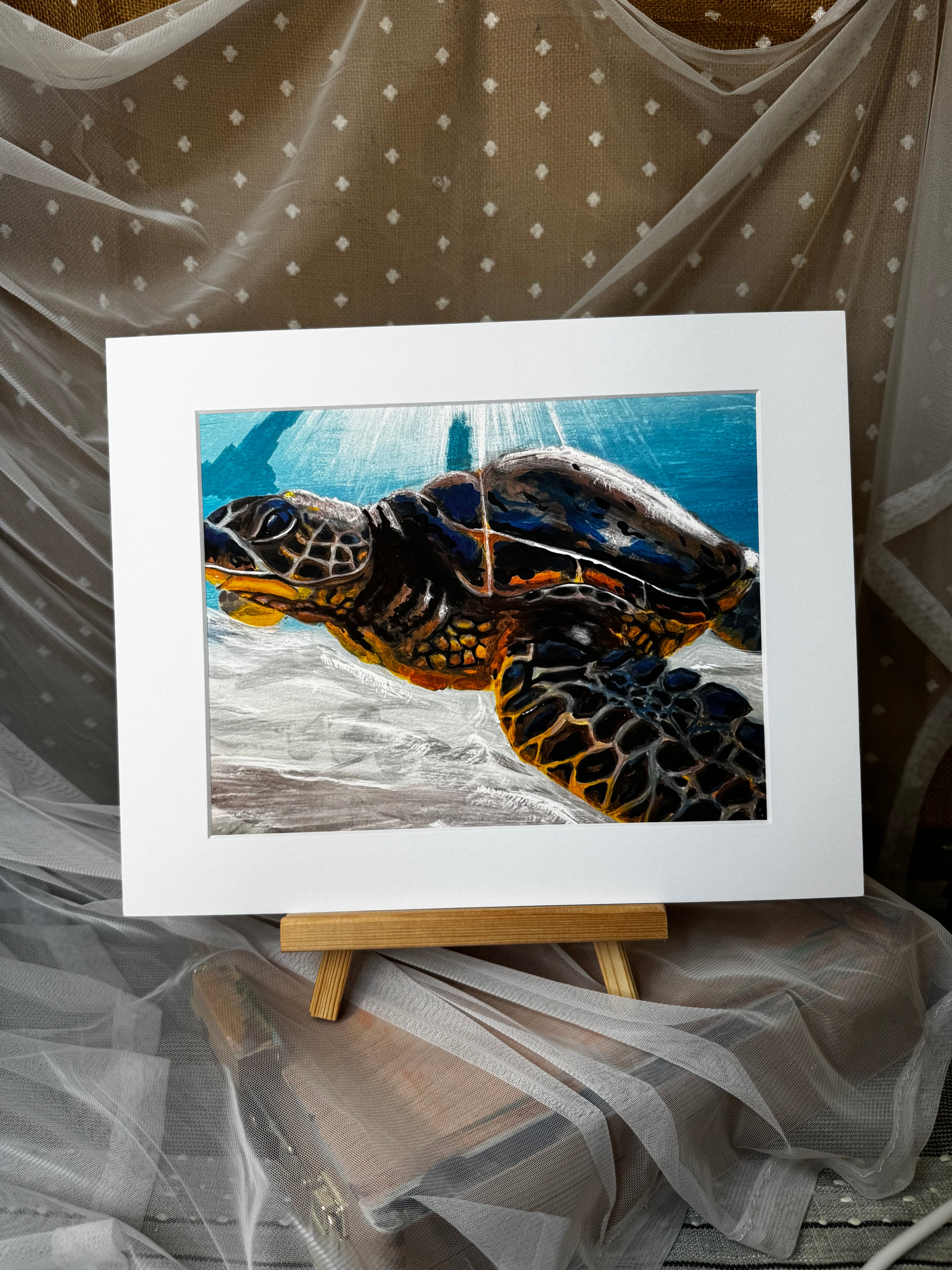 Underwater Sea Turtle Framed Print