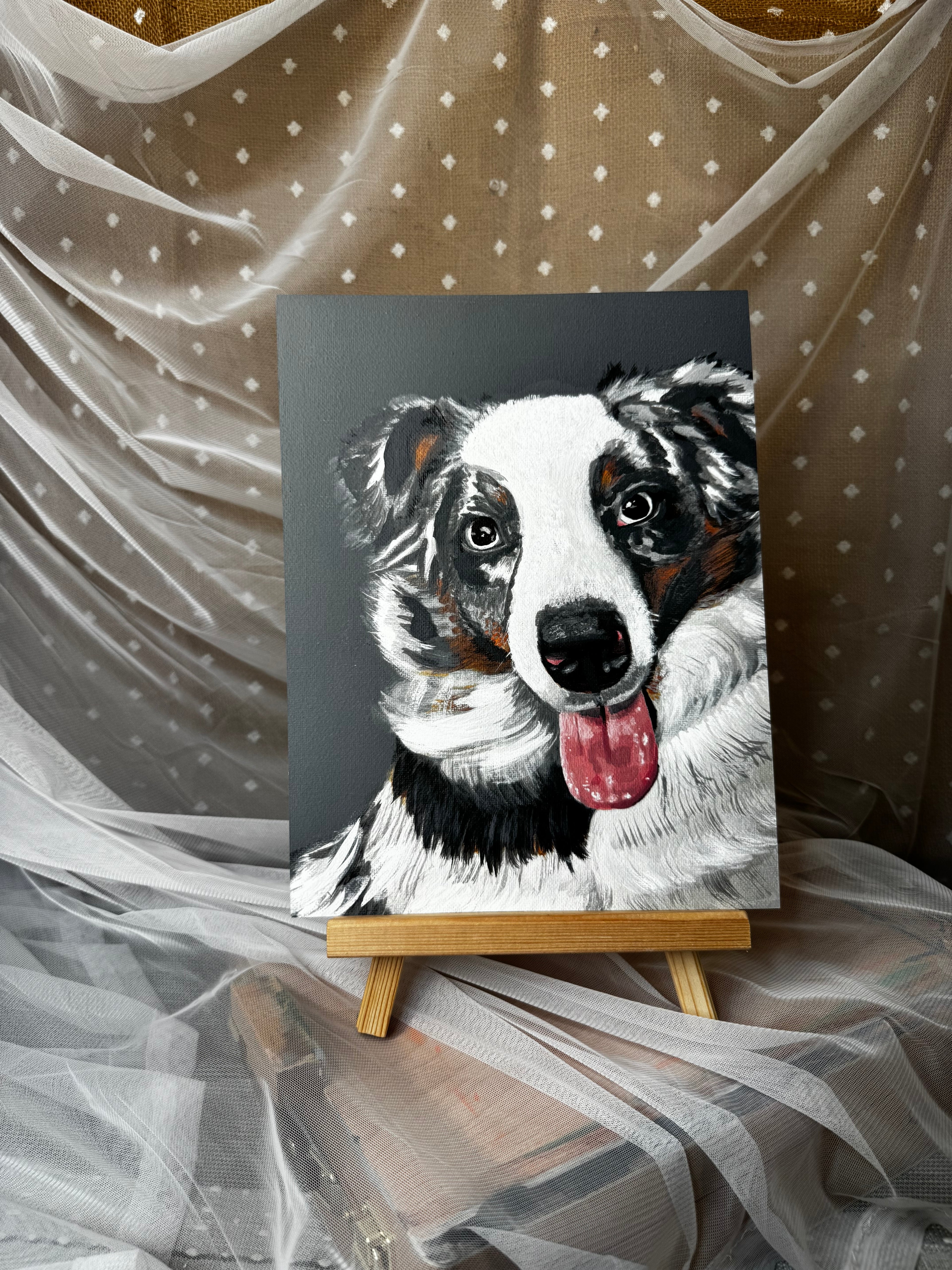 Australian Shepherd Blue Merle Print