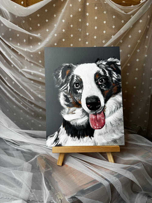 Australian Shepherd Blue Merle Print