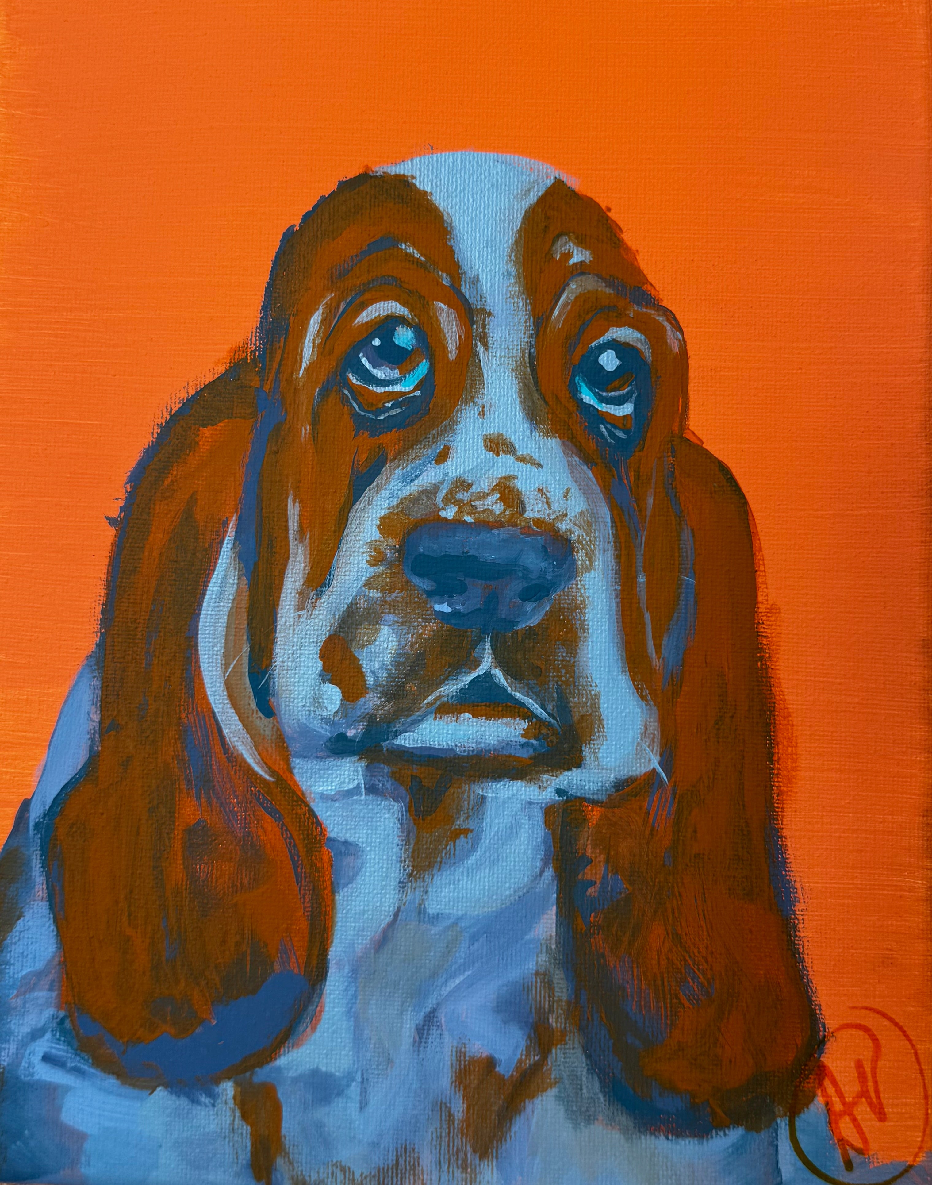 Color Pop Hound Dog Original