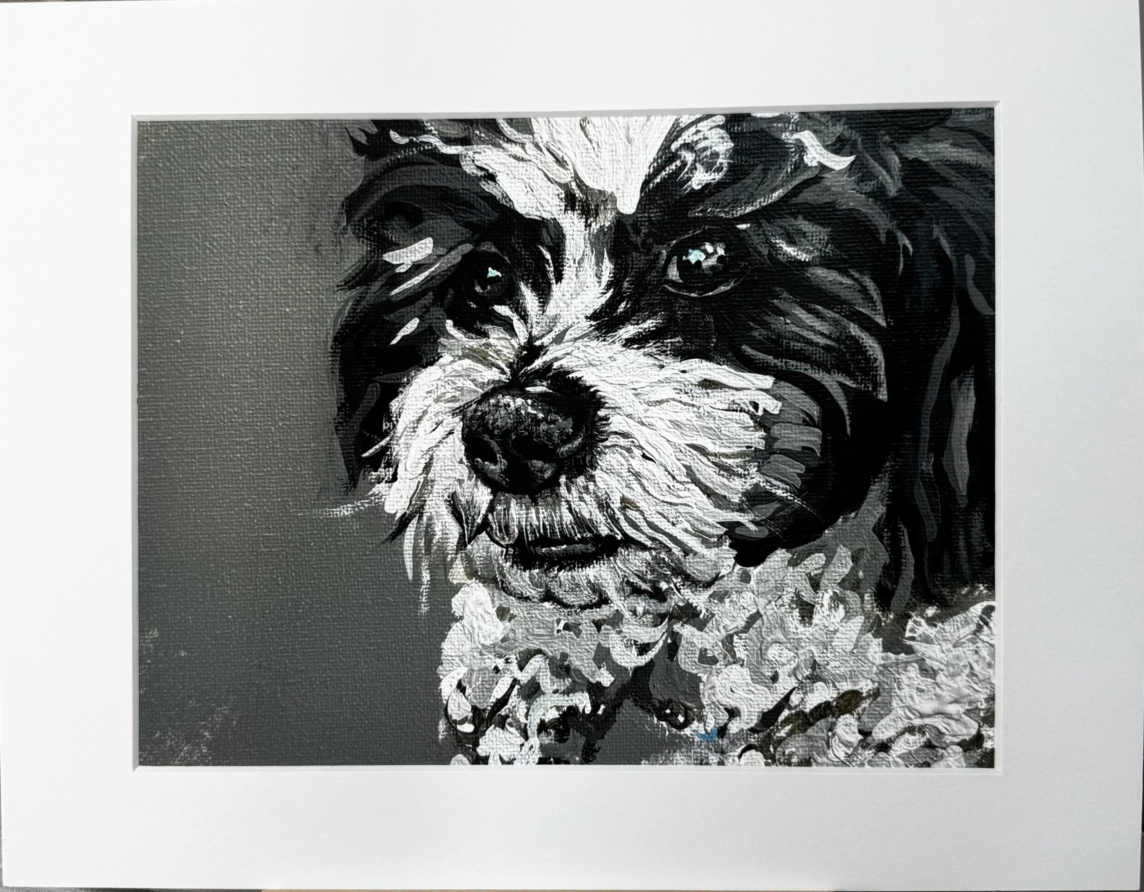Bear the Zuchon Framed Print