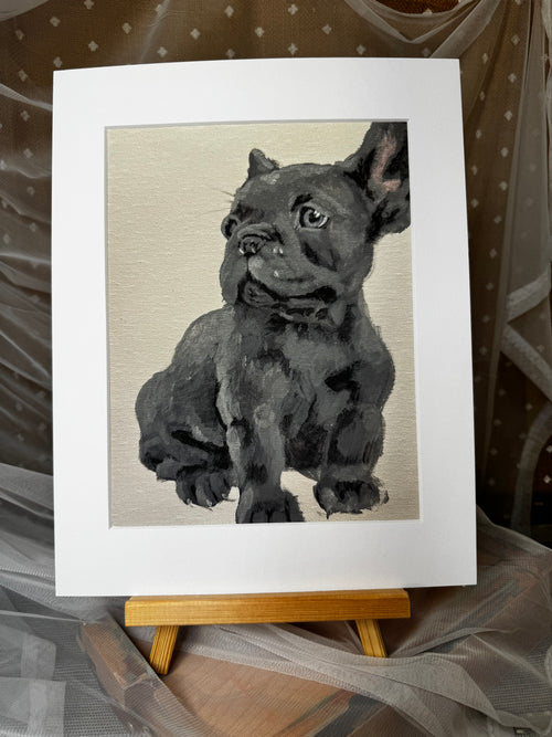 Bleu French Bulldog Framed Print